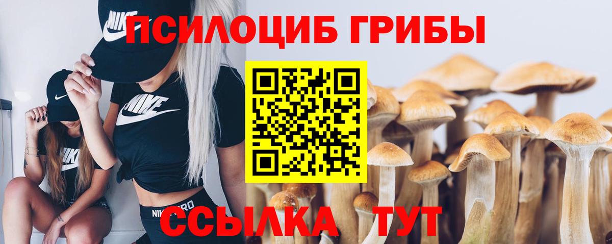 Псилоцибиновые грибы GOLDEN TEACHER  Вход с VPN  Ростов Великий 